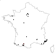 Erigeron karvinskianus Asch. - carte des observations