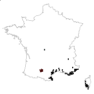 x Carduogalactites ludoviciae (C.E.Bertrand) P.Fourn. - carte des observations