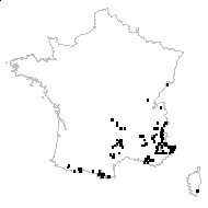 Hieracium arbascense Timb.-Lagr. - carte des observations