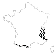 Acinos alpinus (L.) Moench - carte des observations