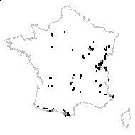 Aconitum napellus L. - carte des observations