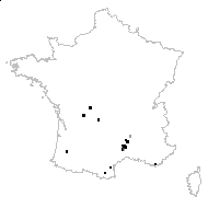 Adenocarpus intermedius subsp. cebennensis (Delile ex Soy.-Will.) Nyman - carte des observations