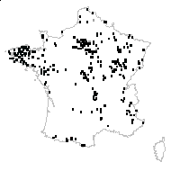 Aethusa cynapium L. - carte des observations