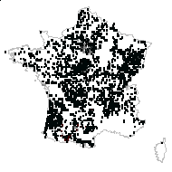 Agrostis vulgaris var. aristata Bréb. - carte des observations