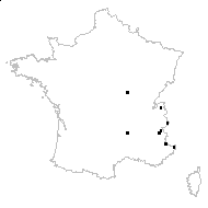 Alchemilla filicaulis Buser - carte des observations
