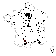 Amaranthus blitum L. - carte des observations