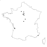 Amaranthus graecizans L. - carte des observations