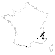 Androsace vitaliana (L.) Lapeyr. - carte des observations
