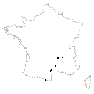 Anthemis cretica subsp. saxatilis (DC.) R.Fern. - carte des observations