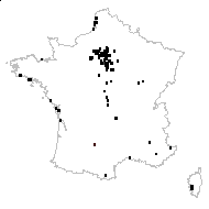 Antriscus fetidus Raf. - carte des observations