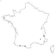 Anthyllis montana L. subsp. montana var. montana - carte des observations