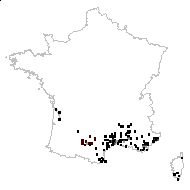 Aristolochia rotunda L. - carte des observations
