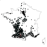 Arum modicense Sprenger - carte des observations