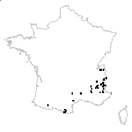 Astragalus australis (L.) Lam. - carte des observations
