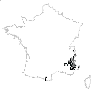 Astragalus sempervirens Lam. - carte des observations