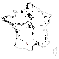 Atriplex hastifolia Salisb. - carte des observations