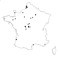 Baldellia ranunculoides (L.) Parl. - carte des observations