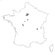 Scirpus maritimus var. macrostachys Vis. - carte des observations