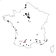 Anisantha diandra (Roth) Tutin ex Tzvelev - carte des observations