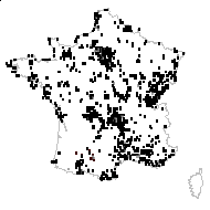 Bromus hordeaceus L. subsp. hordeaceus - carte des observations