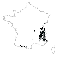 Calamagrostis varia (Schrad.) Host subsp. varia - carte des observations