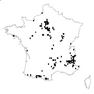 Carduus nutans L. subsp. nutans - carte des observations