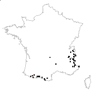 Carex castanea Miel. - carte des observations