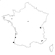 Carex nevadensis sensu Chater - carte des observations