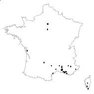 Hippophaestum vulgare Gray - carte des observations