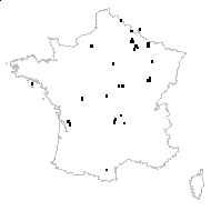 Centaurea decipiens Thuill. subsp. decipiens - carte des observations