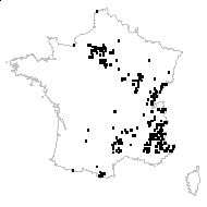 Centaurea scabiosa L. subsp. scabiosa - carte des observations