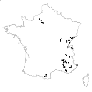 Hieracium jacquini Vill. - carte des observations