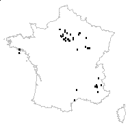 Centaurium pulchellum (Sw.) Druce var. pulchellum - carte des observations