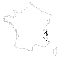 Hieracium intybaceum All. - carte des observations