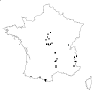 Hieracium auricula subsp. melaneilema Nägeli & Peter - carte des observations