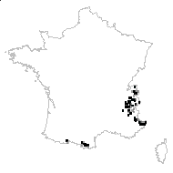 Astrantia minor L. - carte des observations