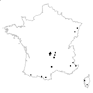Hieracium pallidum Biv. - carte des observations
