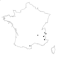 Hieracium pilosella proles peleterianum (Mérat) Rouy - carte des observations