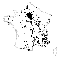 Cirsium arvense (L.) Scop. var. arvense - carte des observations