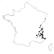 Hieracium villosum Jacq. - carte des observations