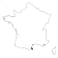 Cotula australis (Sieber ex Spreng.) Hook.f. - carte des observations