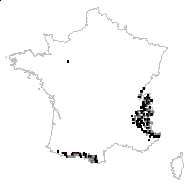 Homogyne alpina (L.) Cass. - carte des observations