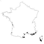 Thyrsine hypocistus (L.) Gled. - carte des observations