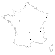 Orchis strictifolia Opiz - carte des observations