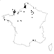 Dactylorhiza praetermissa (Druce) Soó subsp. praetermissa var. praetermissa - carte des observations