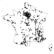 Inula foetida Dulac - carte des observations