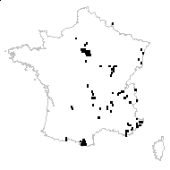 Dianthus carthusianorum L. subsp. carthusianorum - carte des observations