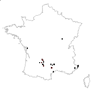 Inula spiraeifolia L. - carte des observations