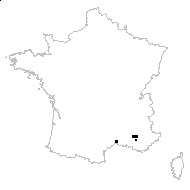 Bifora testicularis Bubani - carte des observations