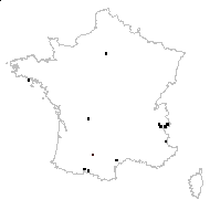 Lactuca esculenta Salisb. - carte des observations